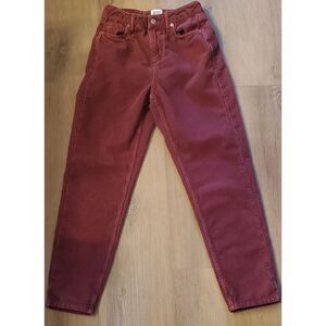 BDG Jeans 25x30 Urban Outfitters Women's MOM Ribbed Corduroy Rosy Wine Pants